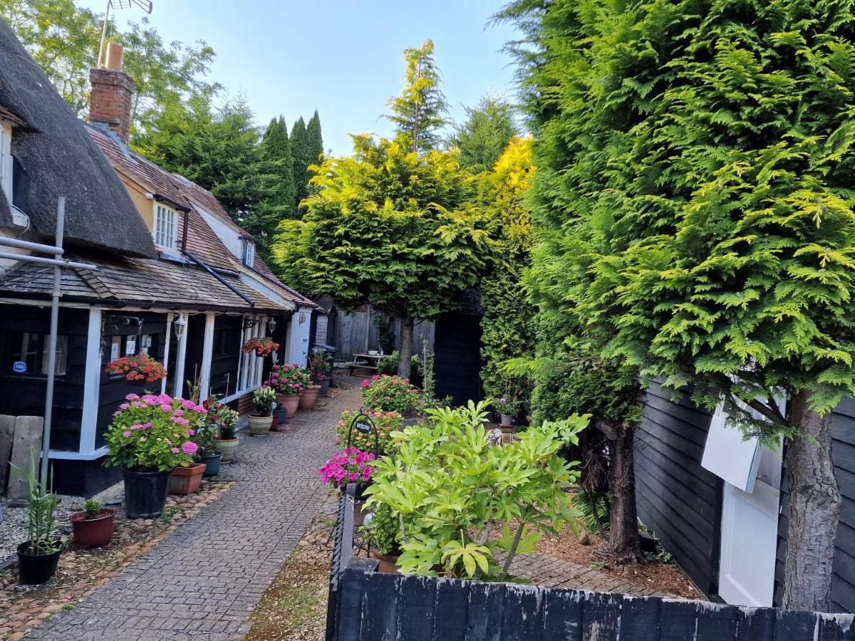 Clifton Hampden B&B Kültér fotó